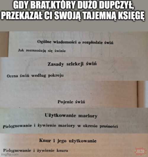 1750444851665.jpeg