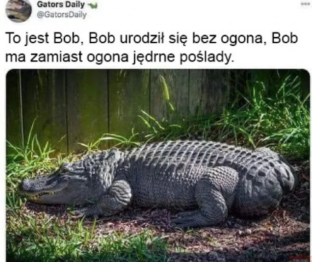 1750527397146.png