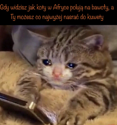 1750766322168.png