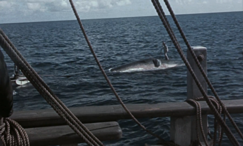 Captura-de-pantalla-2025-06-23-222442.png
