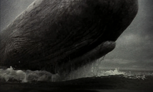 Captura-de-pantalla-2025-06-23-222540.png