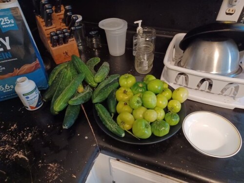 cucumbersandtoms.jpg