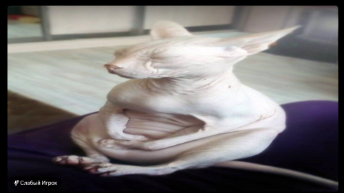 image4882ed0a4ba8a642.png