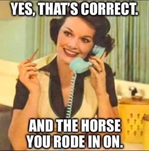 horseadd14a43e95a6917.jpg