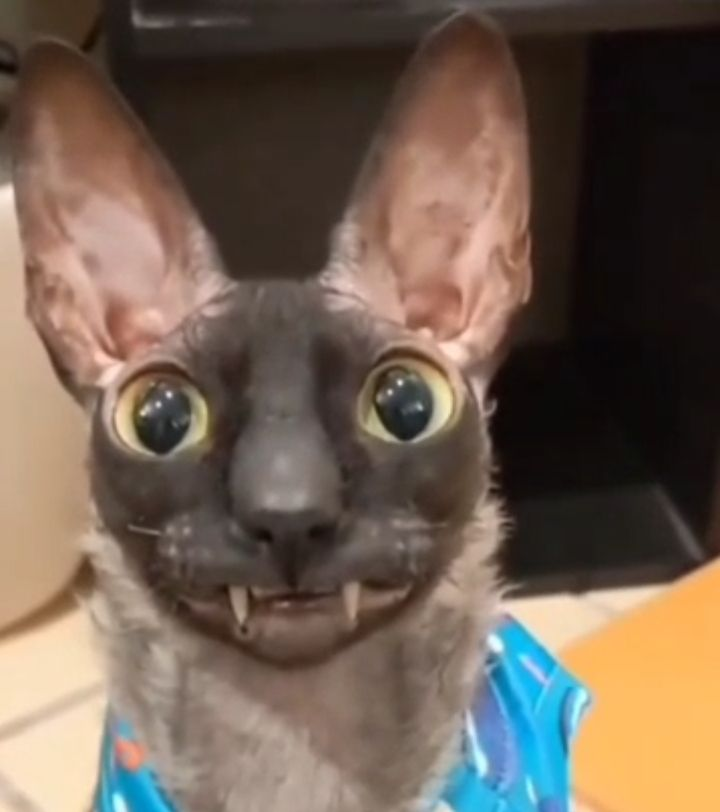 327566e05627b883540e3fd92c5632d0.png