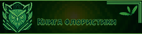 26f675b38732f0bd50.png