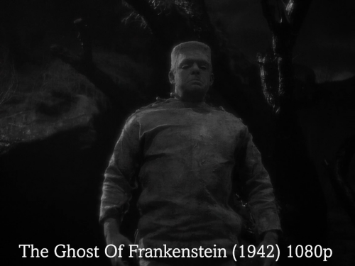 Captura-de-pantalla-2025-06-30-213300.png