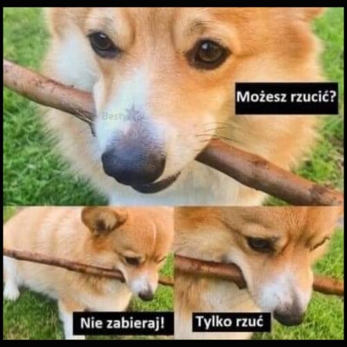 eJwoa.jpg