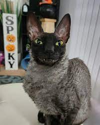eEdNG.jpg