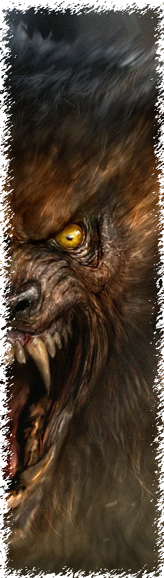 enLIK.png