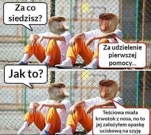 eLuj9.jpg
