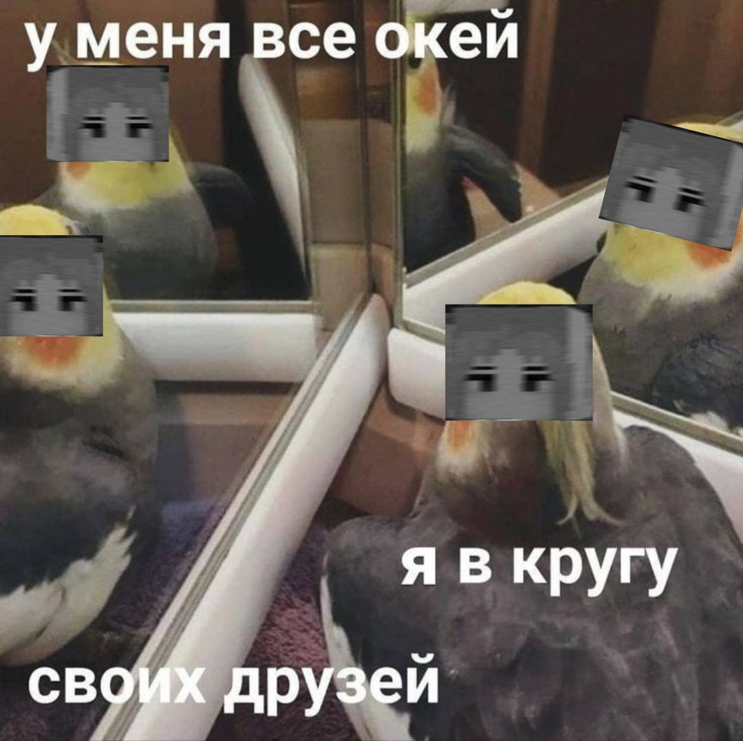 pixvid.org