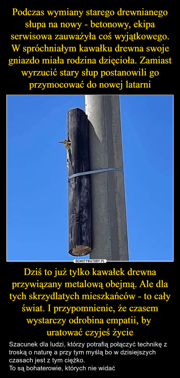 0kEsE.jpg