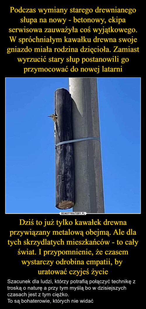 0kEsE.jpg