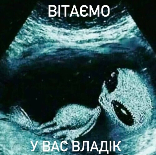 08afc.jpg