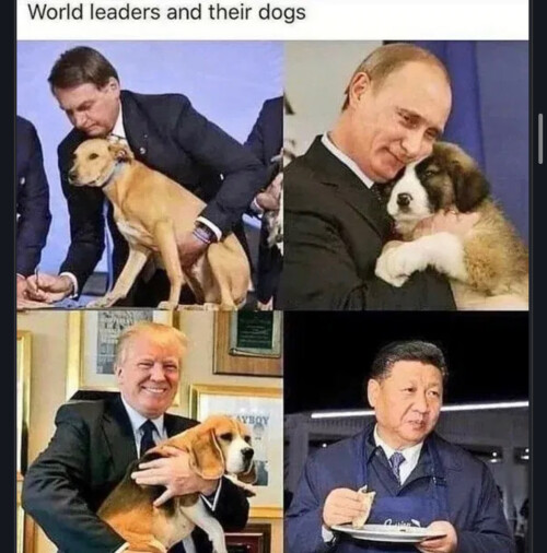0C51R.jpeg