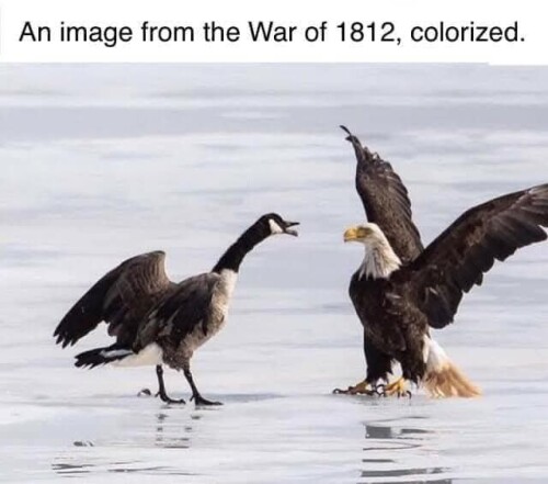 0CHhd.jpg