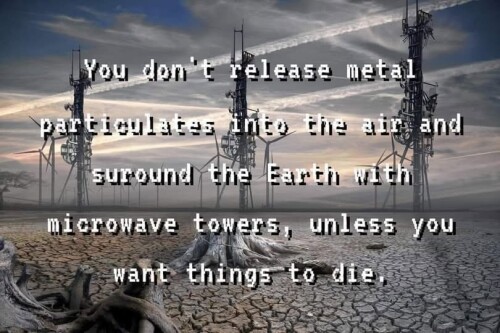 0gCGP.jpg