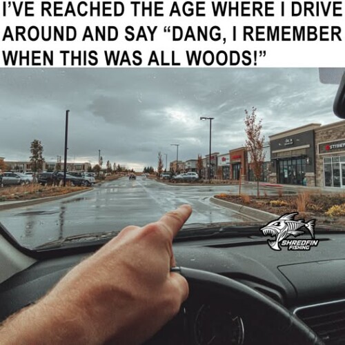 0gCg4.jpg