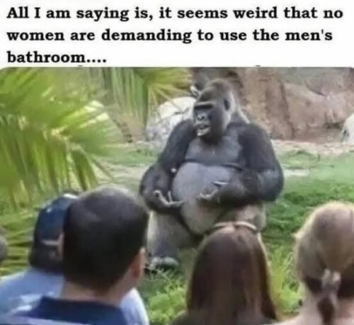 0gCic.jpg