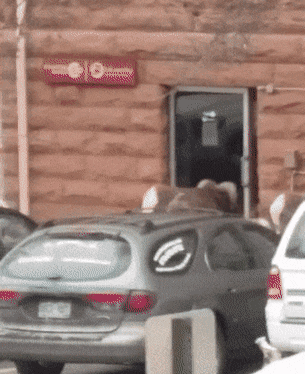 0zu66.gif