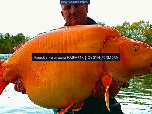 0l33Y.jpg