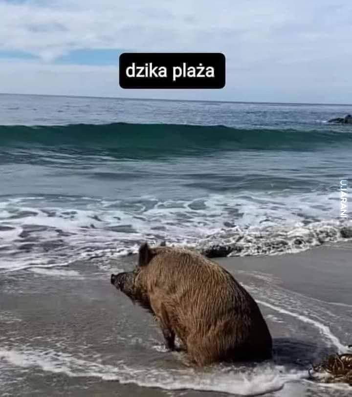 0l5aM.jpg