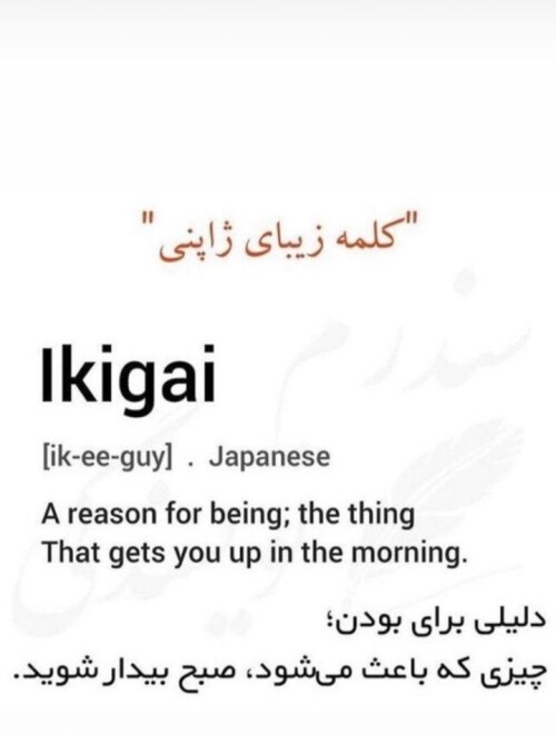0YqNg.jpg
