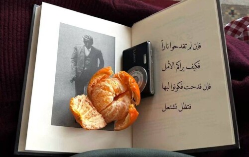 154d8b333735ebe891c3e9c5ef11aaf2