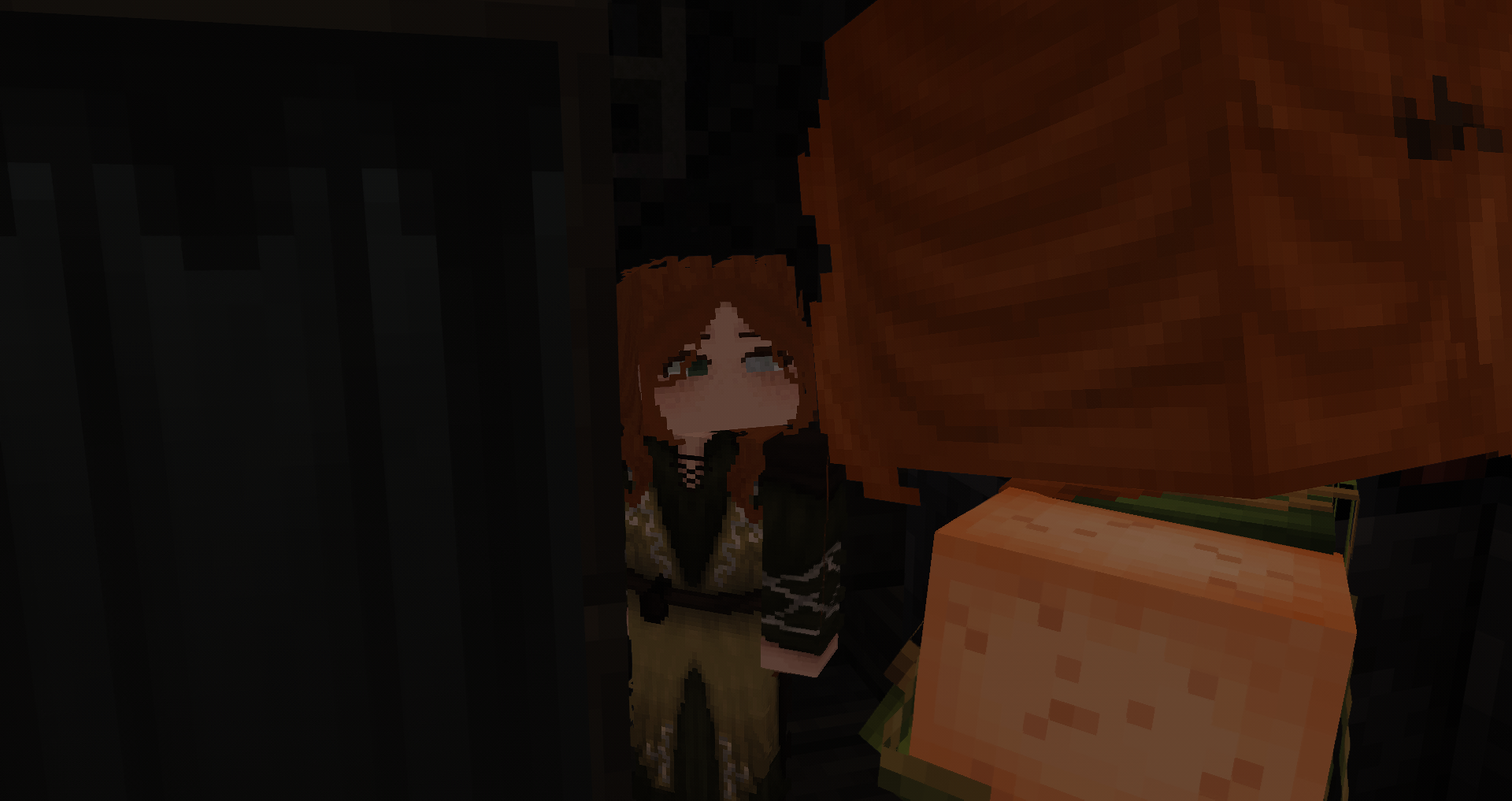 pixvid.org