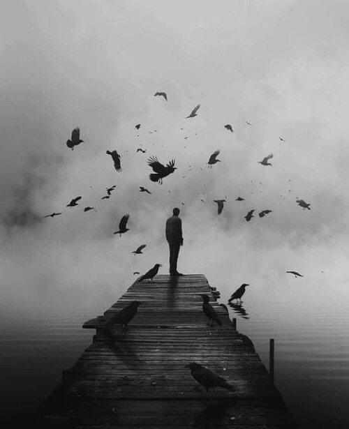 2f8b5d7a7994c215bec961c3f7d67fbc