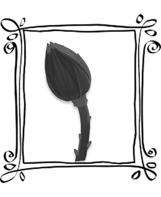 0KuRR.png