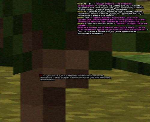 screen 2135