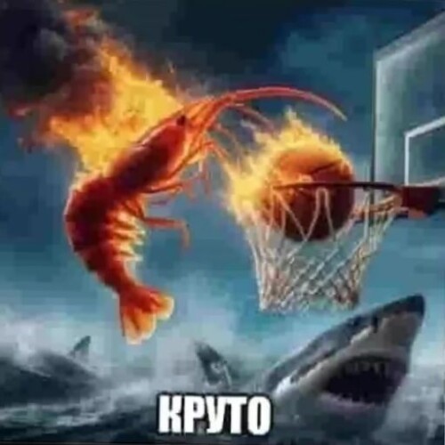 06KMf.jpg