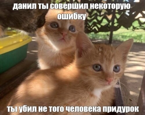 06dnR.jpg