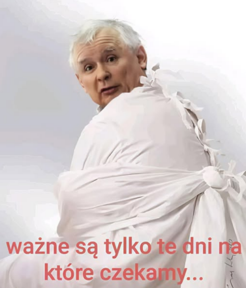 09qxl.png