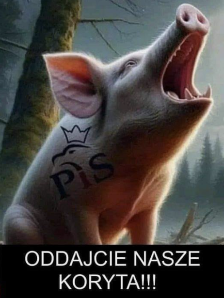0y4rE.png
