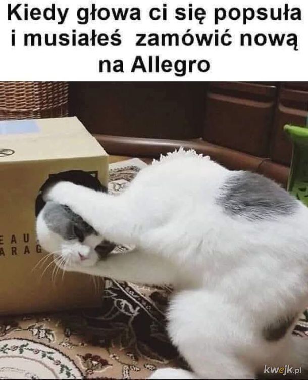 0dcME.jpeg