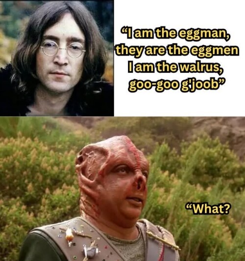 0xMtt.jpg