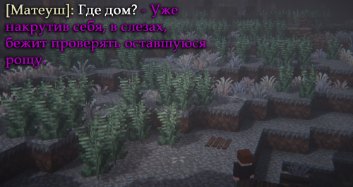 говно2