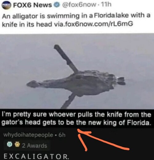 0aSC1.jpg
