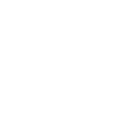 041i4.gif