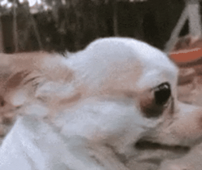 04S9M.gif
