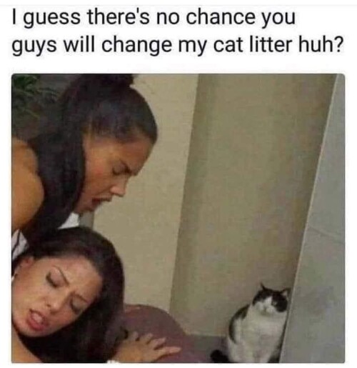 0siQu.jpg