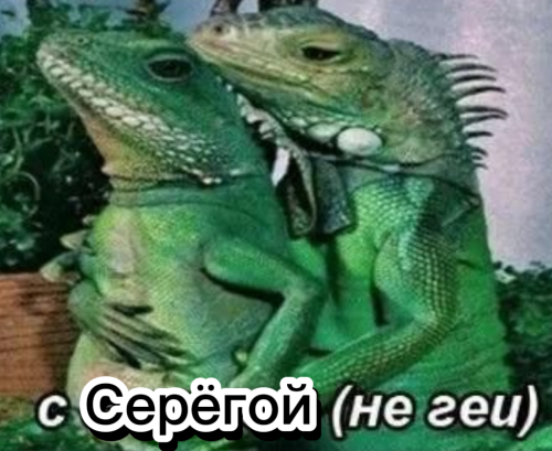 0NruP.png