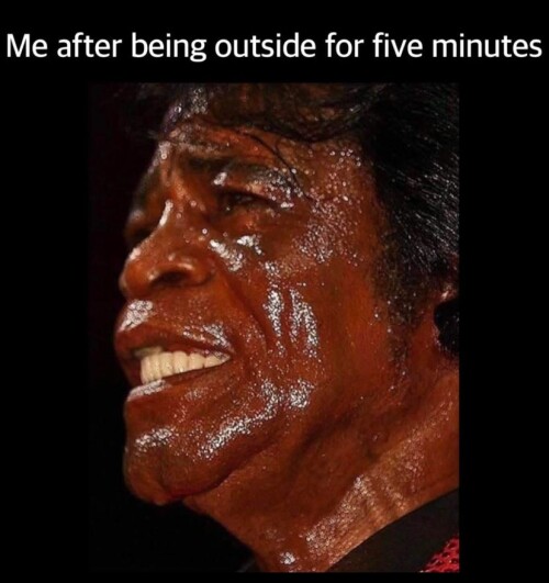 03QBg.jpg