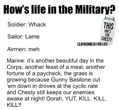 0LTHV.jpg