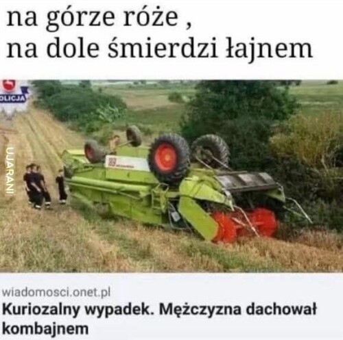 Uejdb.jpg