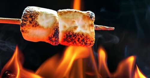 Two marshmallows roasting over fire flames. Sized to fit popular social media horizontal banner