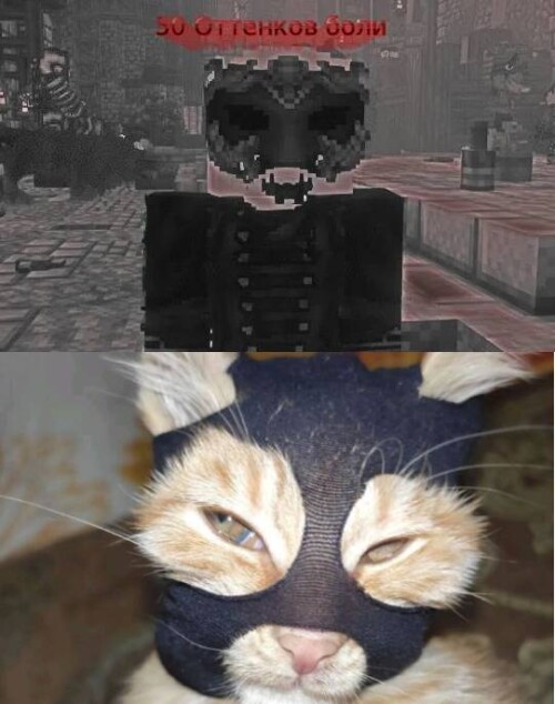 U8O5l.jpg